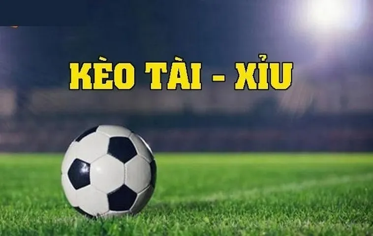 Nhận Định Kèo Nhà Cái vling - Soi Kèo Nhà Cái Hôm Nay Mới Nhất 22 Dự đoán tổng số bàn thắng của trận đấu sẽ lớn hơn hay nhỏ hơn con số nhà cái đưa ra.